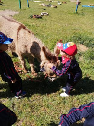 LOS MS PEQUES SE VAN DE VIAJE - Foto 31