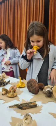 EXPOSICION MICOL�GICA 2023 - Foto 27