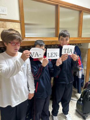 MSJ - Foto 2
