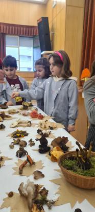 EXPOSICION MICOL�GICA 2023 - Foto 28