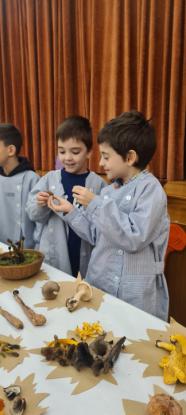 EXPOSICION MICOL�GICA 2023 - Foto 29