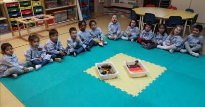OTOO Y VENDIMIA - Foto 31