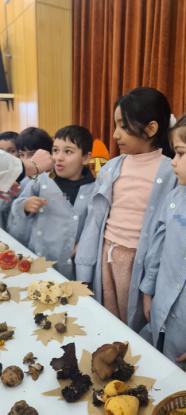 EXPOSICION MICOL�GICA 2023 - Foto 30