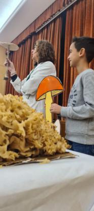 EXPOSICION MICOL�GICA 2023 - Foto 34