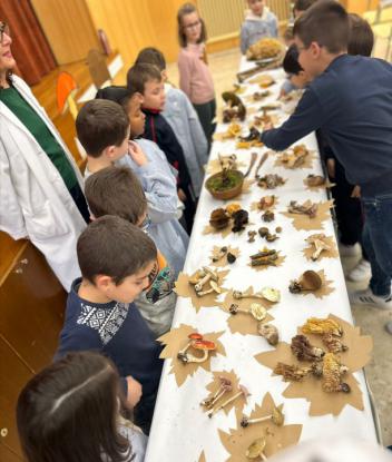 EXPOSICION MICOL�GICA 2023 - Foto 36