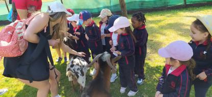 EXCURSIN 4 ED. INFANTIL - Foto 35