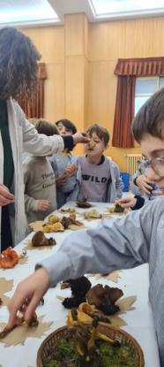 EXPOSICION MICOL�GICA 2023 - Foto 35