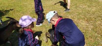EXCURSIN 4 ED. INFANTIL - Foto 38