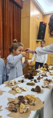 EXPOSICION MICOL�GICA 2023 - Foto 37