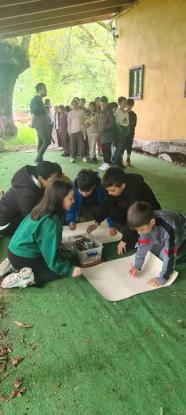 EXCURSIONES INFANTIL Y PRIMARIA - Foto 41