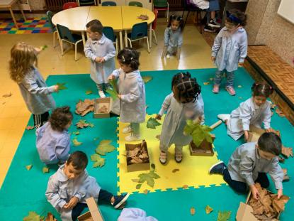 OTOO Y VENDIMIA - Foto 39
