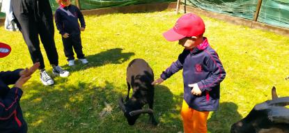 EXCURSIN 4 ED. INFANTIL - Foto 37