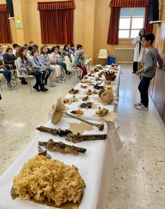 EXPOSICION MICOL�GICA 2023 - Foto 38