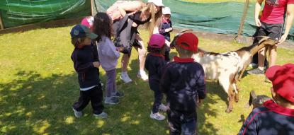 EXCURSIN 4 ED. INFANTIL - Foto 40