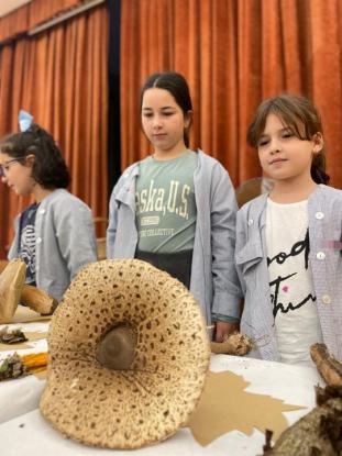 EXPOSICION MICOL�GICA 2023 - Foto 40