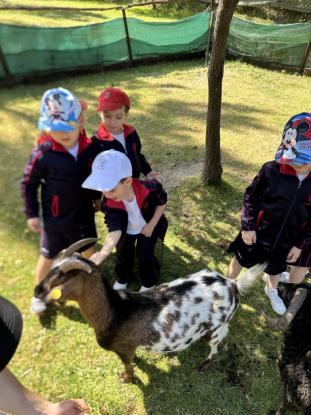 EXCURSIN 4 ED. INFANTIL - Foto 39