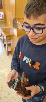 EXPOSICION MICOL�GICA 2023 - Foto 41