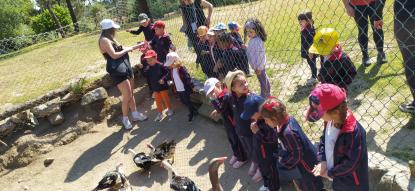 EXCURSIN 4 ED. INFANTIL - Foto 43