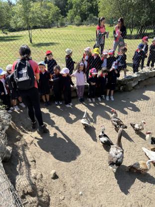 EXCURSIN 4 ED. INFANTIL - Foto 46
