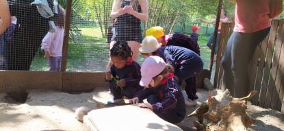 EXCURSIN 4 ED. INFANTIL - Foto 42