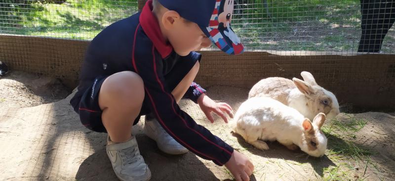 EXCURSIN 4 ED. INFANTIL
