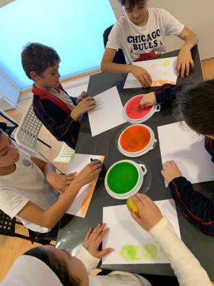 DE PICNIC POLAS NOSAS NATUREZAS M�XICAS - Foto 39