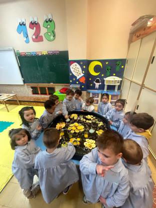 OTOO INFANTIL - Foto 51