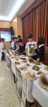 EXPOSICION MICOL�GICA 2023 - Foto 49