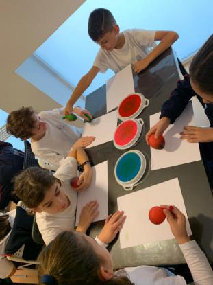 DE PICNIC POLAS NOSAS NATUREZAS M�XICAS - Foto 44