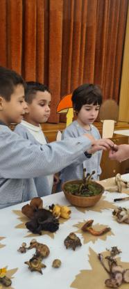 EXPOSICION MICOL�GICA 2023 - Foto 54