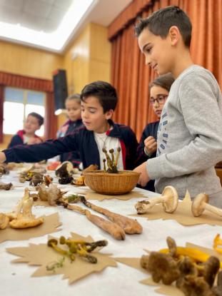 EXPOSICION MICOL�GICA 2023 - Foto 58