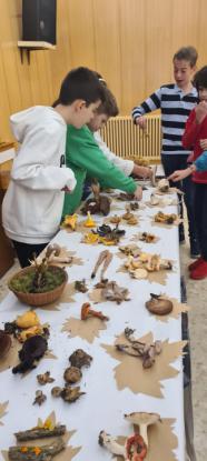 EXPOSICION MICOL�GICA 2023 - Foto 59