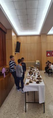 EXPOSICION MICOL�GICA 2023 - Foto 60