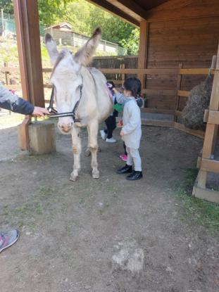 EXCURSIONES INFANTIL Y PRIMARIA - Foto 3