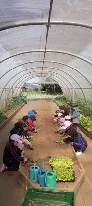 EXCURSIONES INFANTIL Y PRIMARIA - Foto 4