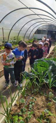 EXCURSIONES INFANTIL Y PRIMARIA - Foto 8