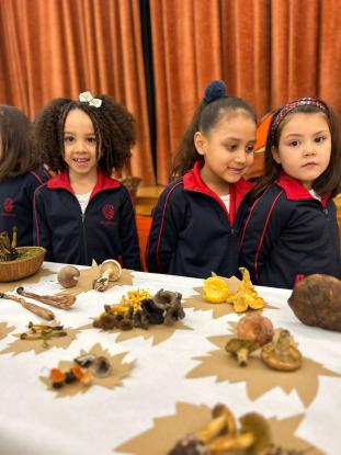 EXPOSICION MICOL�GICA 2023 - Foto 1