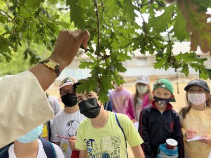  3 Primaria visita el "Aula da Natureza" en Oira - Foto 1