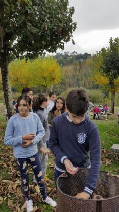 Magosto 4�, 5� y 6� de Primaria - Foto 10