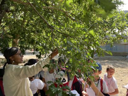 3 Primaria visita el "Aula da Natureza" en Oira - Foto 5