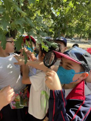  3 Primaria visita el "Aula da Natureza" en Oira - Foto 8