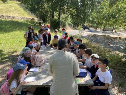  3 Primaria visita el "Aula da Natureza" en Oira - Foto 12