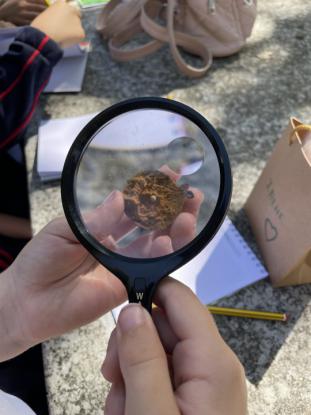  3 Primaria visita el "Aula da Natureza" en Oira - Foto 13