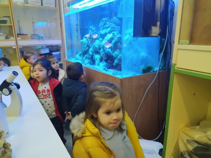 3 AOS VISITA EL ACUARIO DEL IES OTERO PEDRAYO - Foto 6