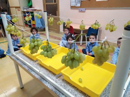 VENDIMIANDO EN 4 DE INFANTIL - Foto 7