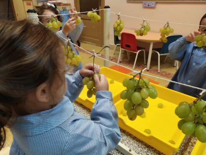 VENDIMIANDO EN 4 DE INFANTIL - Foto 1