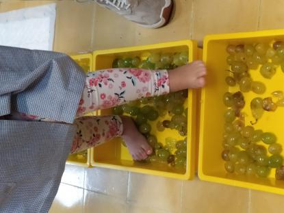 VENDIMIANDO EN 4 DE INFANTIL - Foto 3