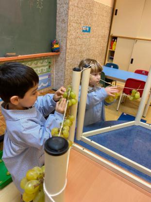 VENDIMIANDO EN 4 DE INFANTIL - Foto 10
