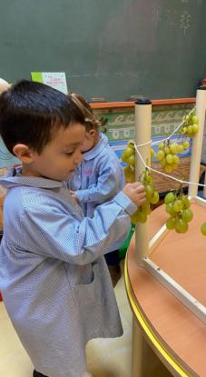 VENDIMIANDO EN 4 DE INFANTIL - Foto 16