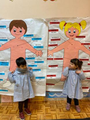 EL CUERPO HUMANO - Foto 25